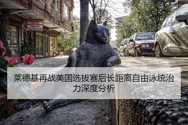 莱德基再战美国选拔赛后长距离自由泳统治力深度分析